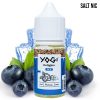 Yogi Delights Salt Blueberry Ice 30ml